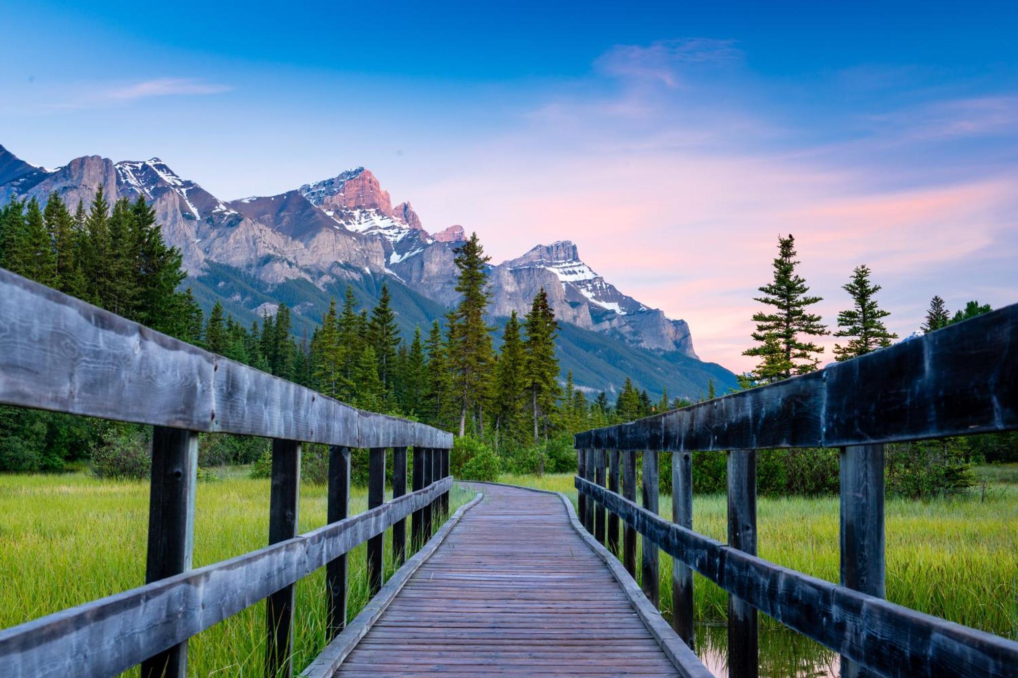 A Bear And Bison Country Inn Canmore Eksteriør bilde